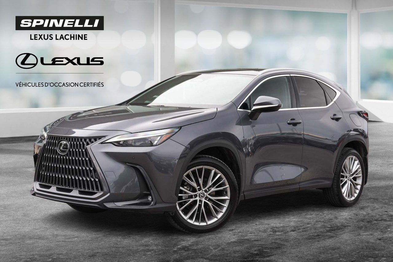 Gray (Cloudburst Grey) 2025 Lexus NX SUV / Crossover Automatic