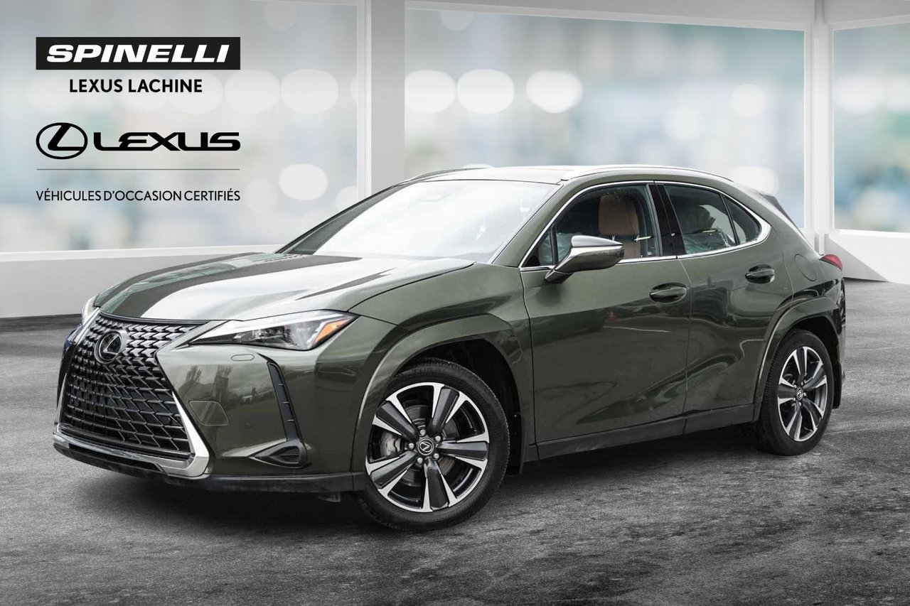 2025 Lexus UX Hybrid 300h Luxury AWD