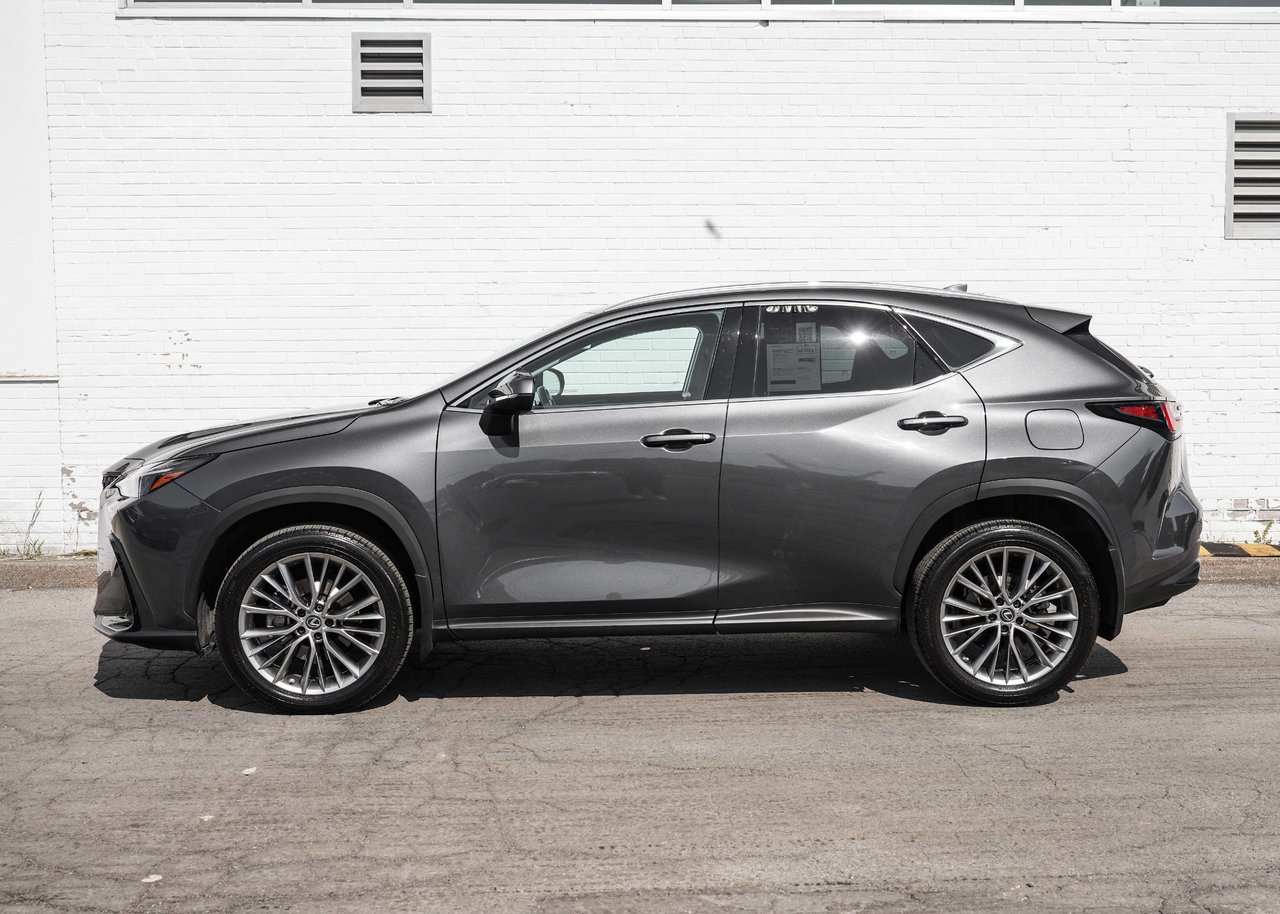 2022 Lexus NX