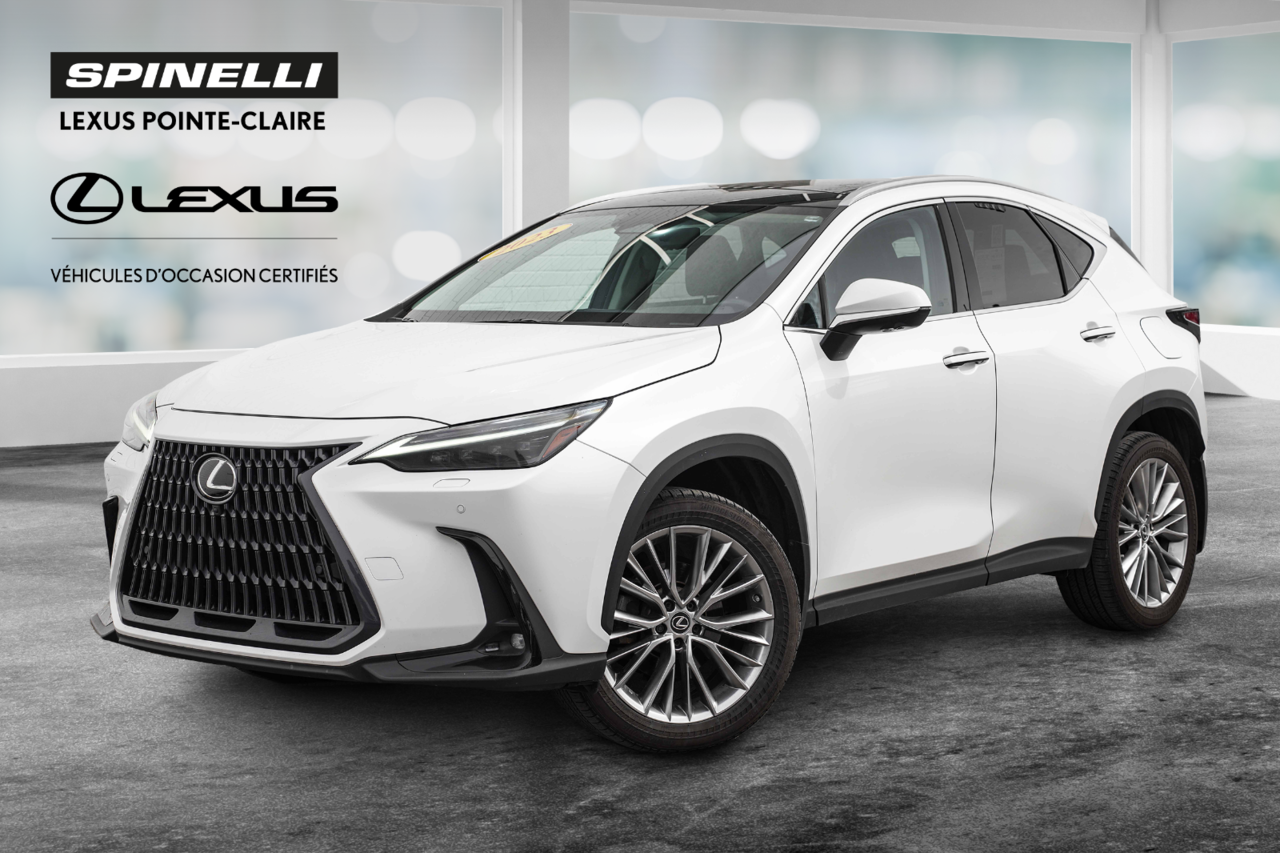 Lexus NX 2023