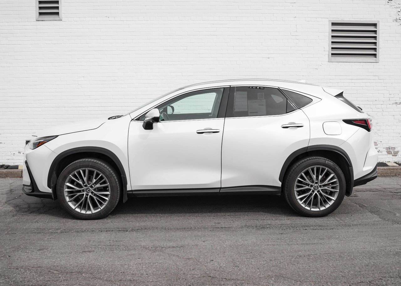2023 Lexus NX