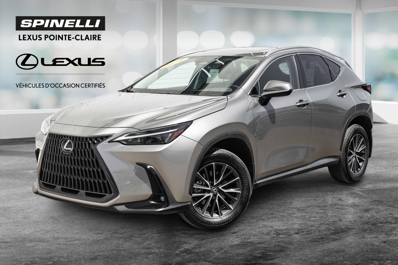 Lexus NX 2024