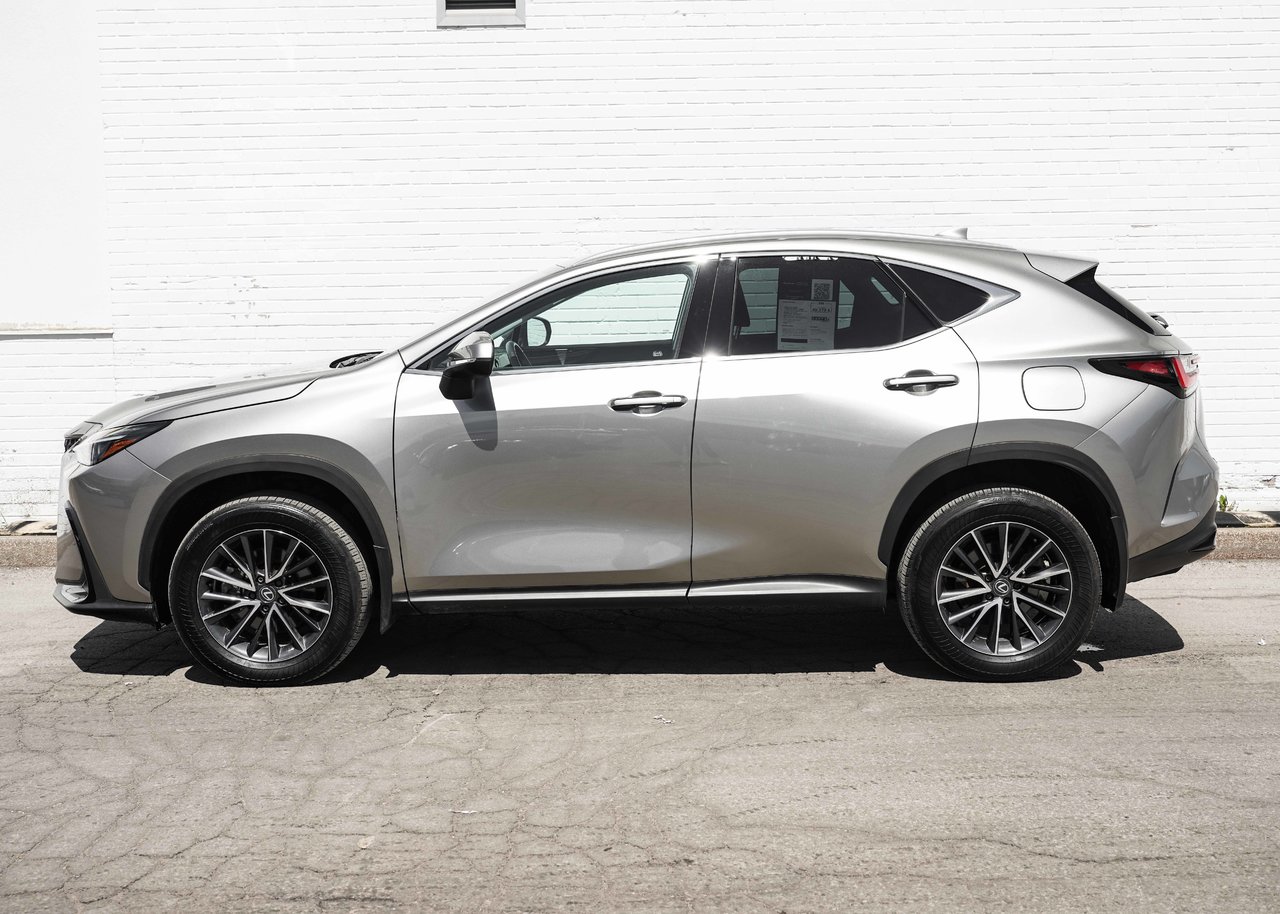 Lexus NX 2024