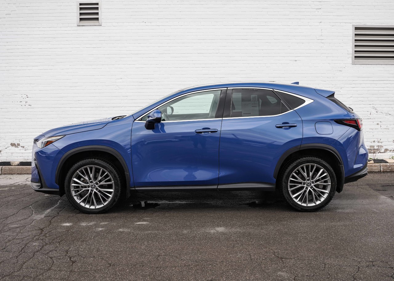 Lexus NX 2024
