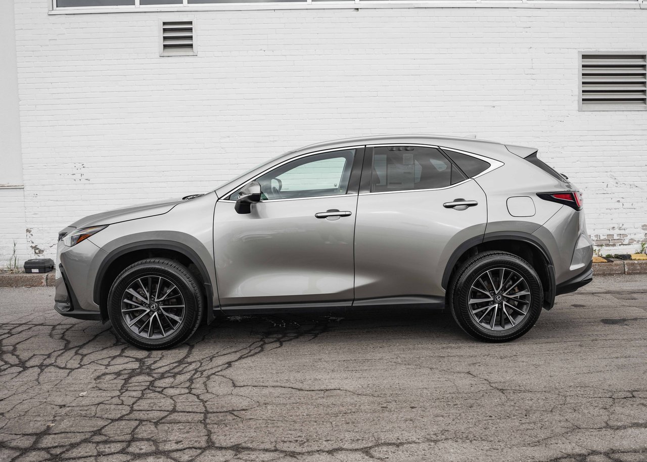 Lexus NX 2024