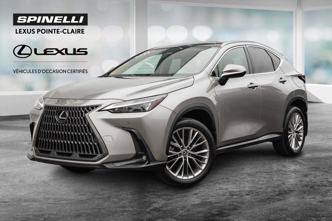ATOMIC SILVER 2024 Lexus NX SUV / Crossover All-Wheel Drive Automatic