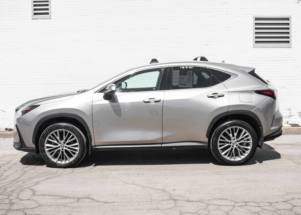 Lexus NX 2023