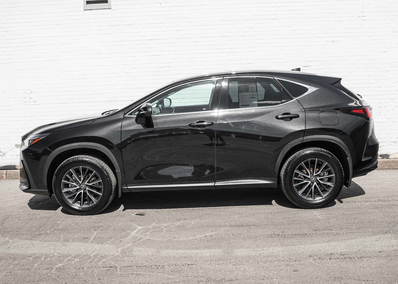 Lexus NX 2024