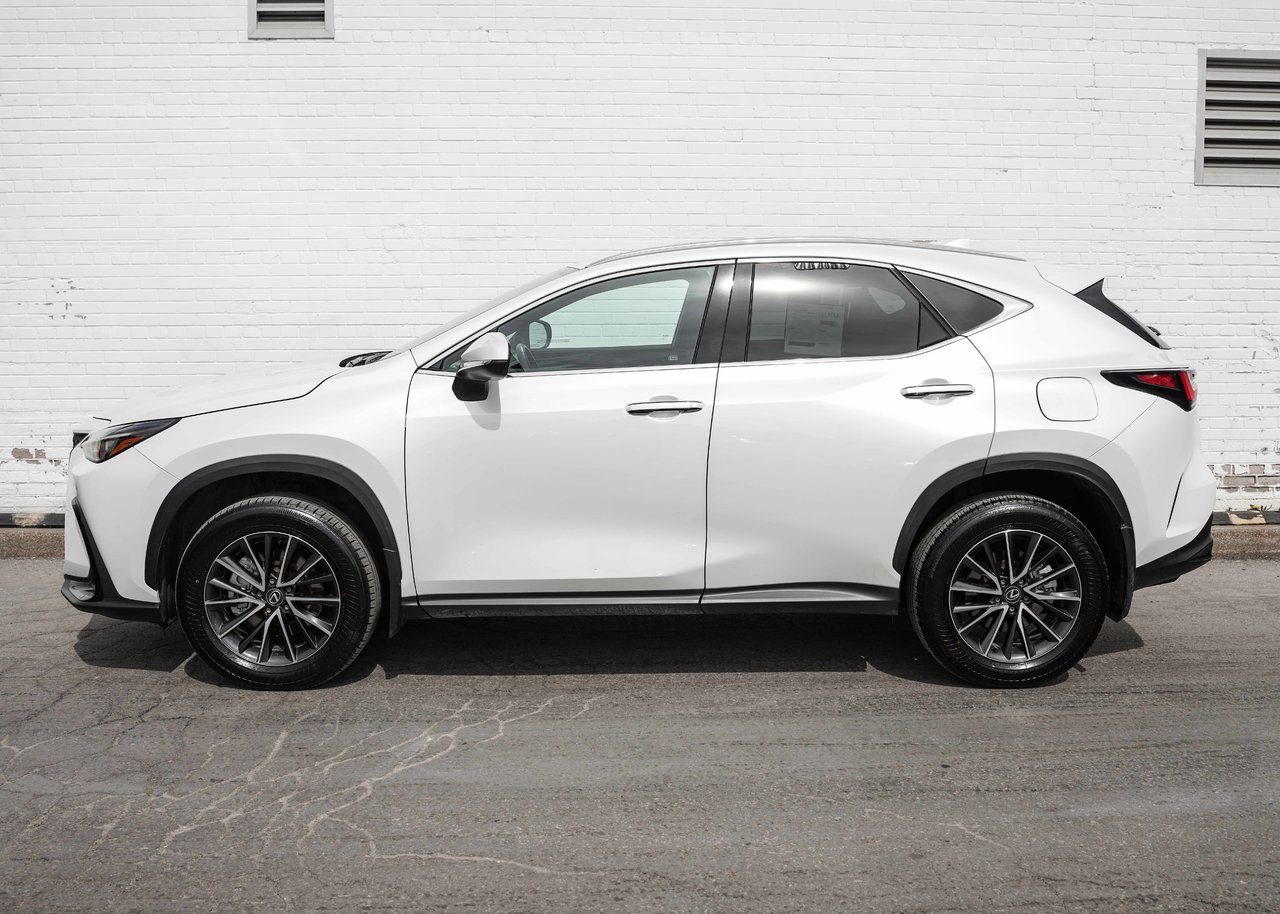 2024 Lexus NX