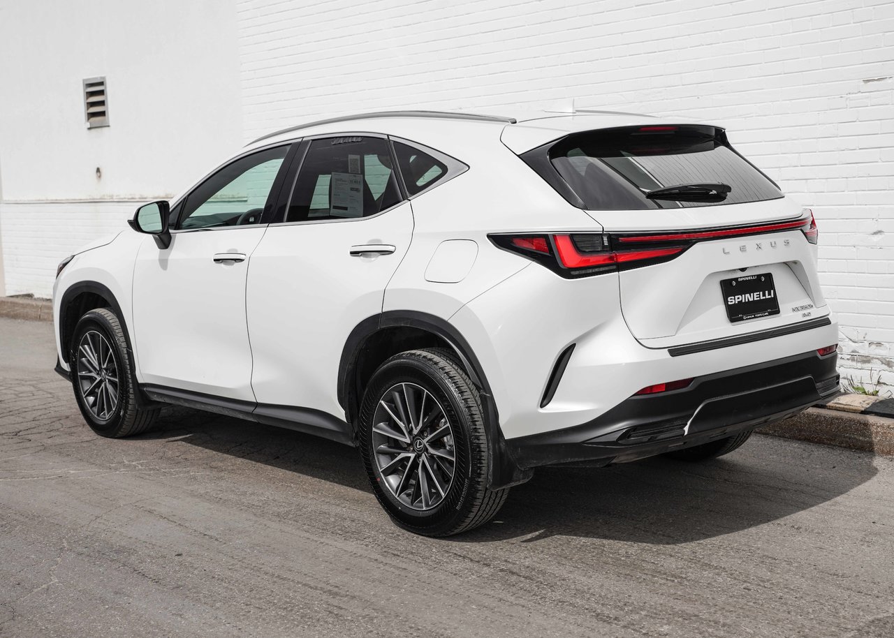 2024 Lexus NX