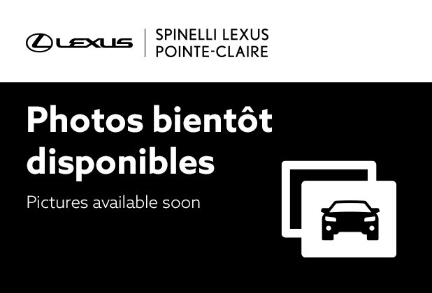 2024 Lexus NX Hybrid 450h+ Executive AWD