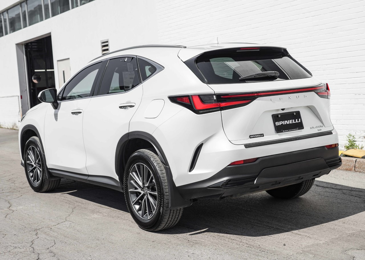 2024 Lexus NX