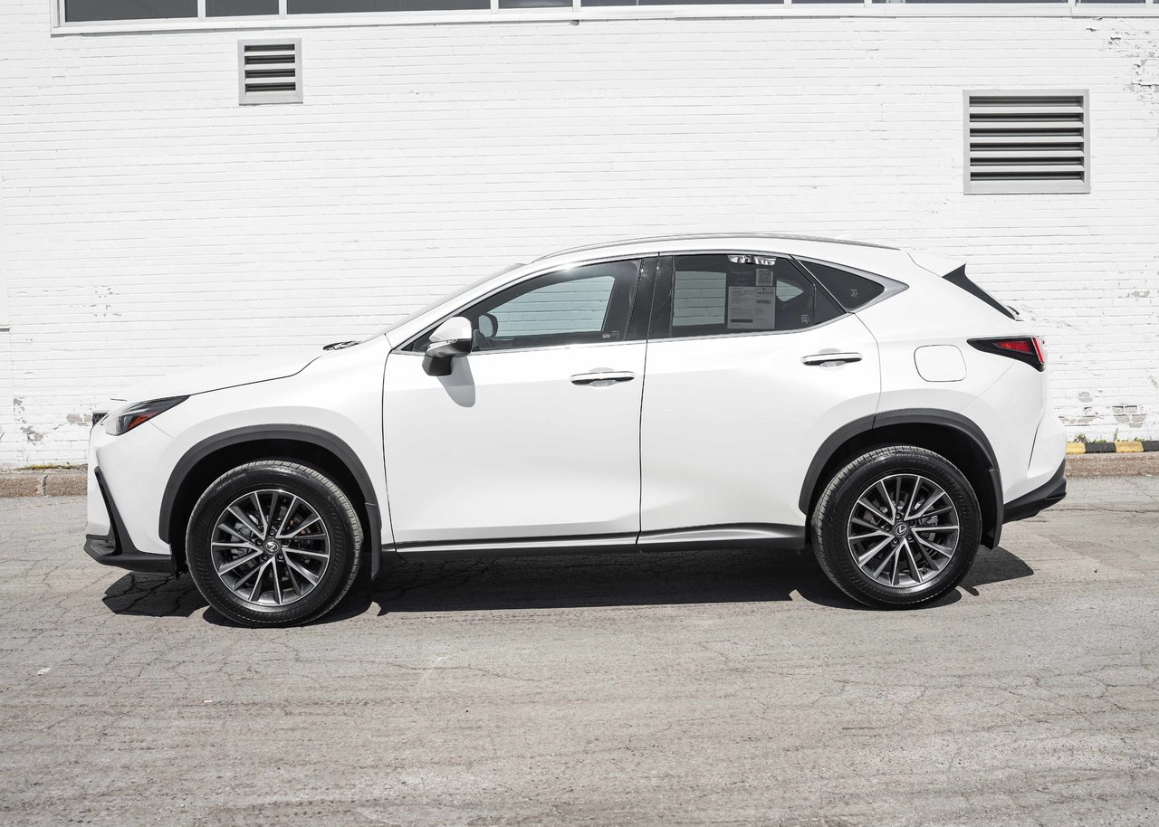 2024 Lexus NX