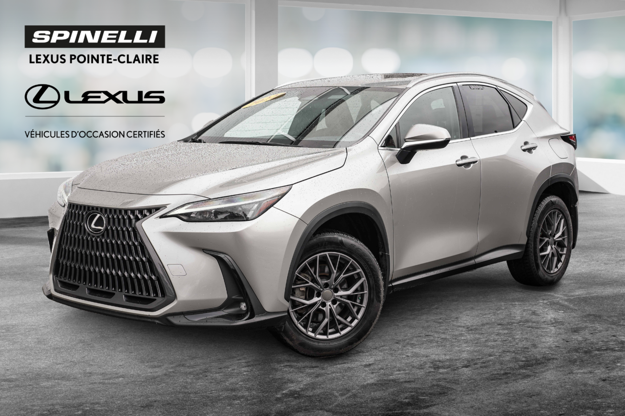 Lexus NX Hybrid 450h+ AWD 2022