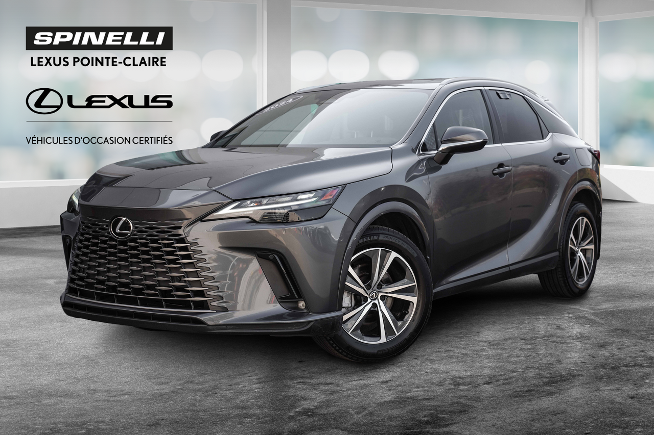 Gray 2024 Lexus RX Hybrid SUV / Crossover All-Wheel Drive 