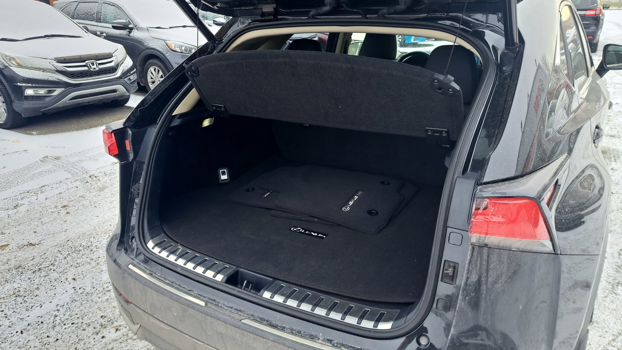 Lexus NX 300h 2019-38