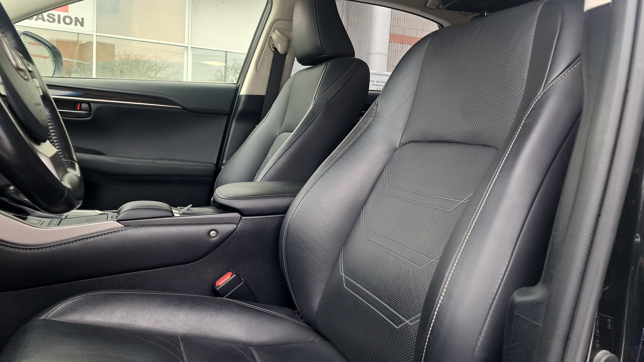 Lexus NX 300h 2019-10