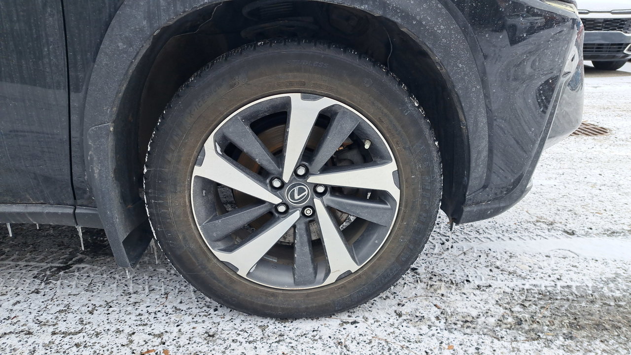 Lexus NX 300h 2019-41