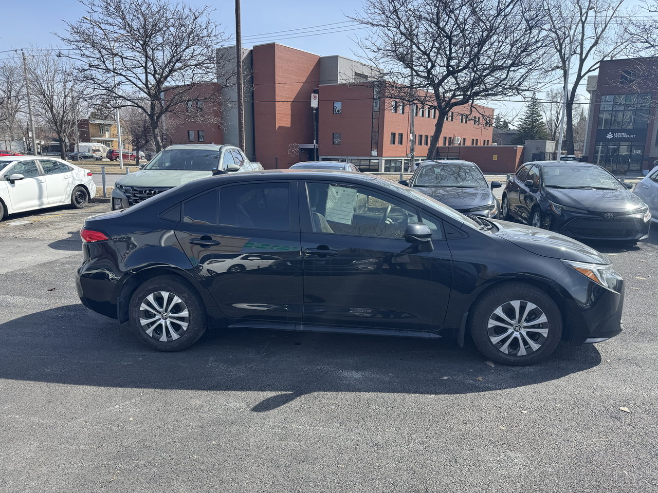 Toyota Corolla Hybrid LE 2024-2