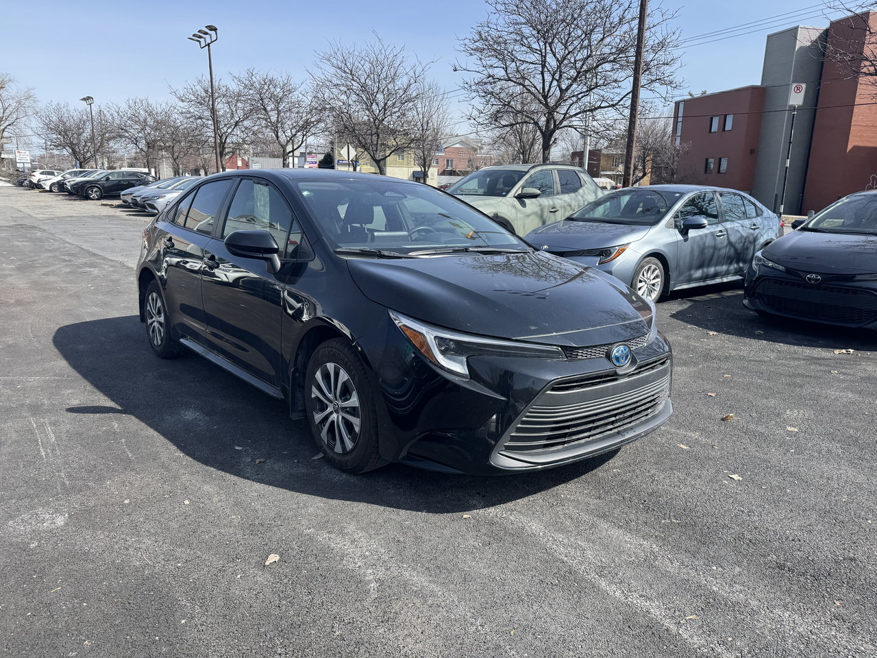 Toyota Corolla Hybrid LE 2024-1