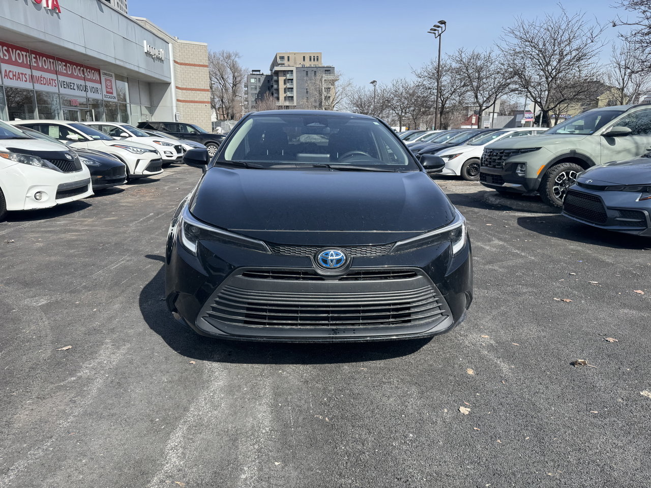 Toyota Corolla Hybrid LE 2024-35