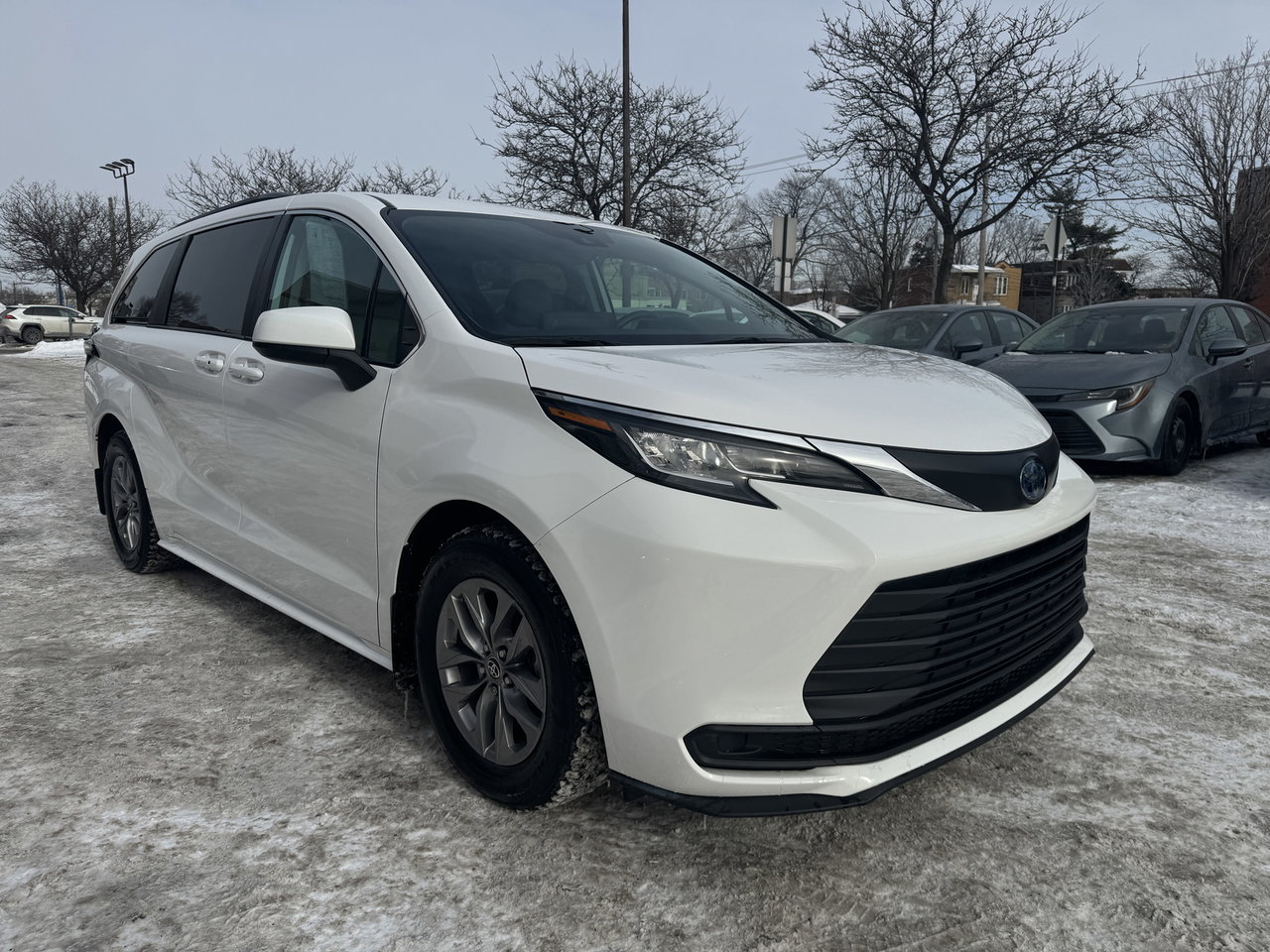 2023 Toyota Sienna LE-19