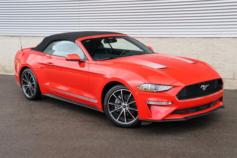 Red (Rouge vif (MET) teinte verni) 2021 Ford Mustang Convertible Rear-Wheel Drive Automatic