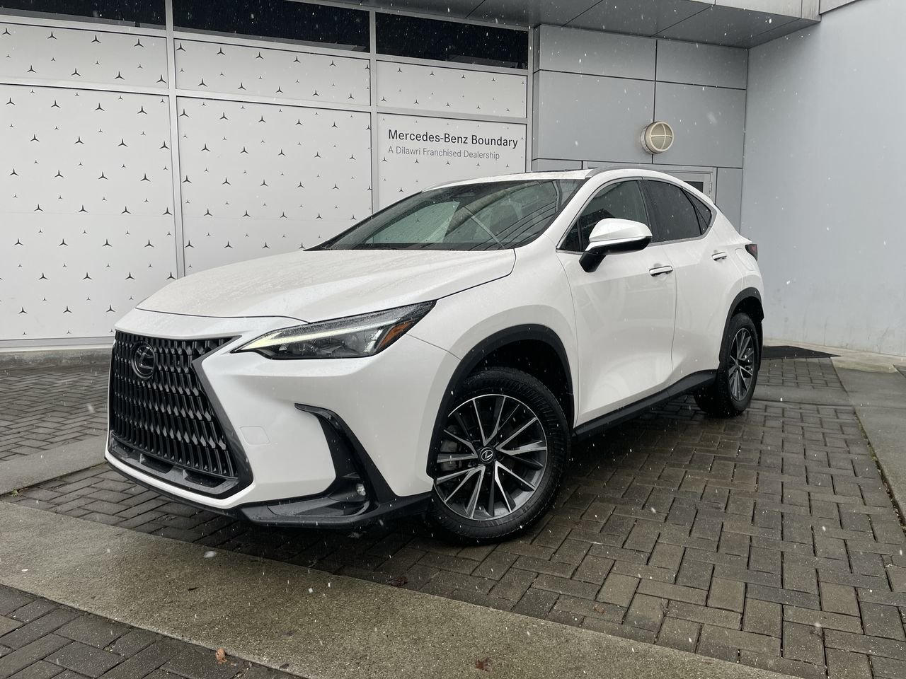 2025 Lexus NX