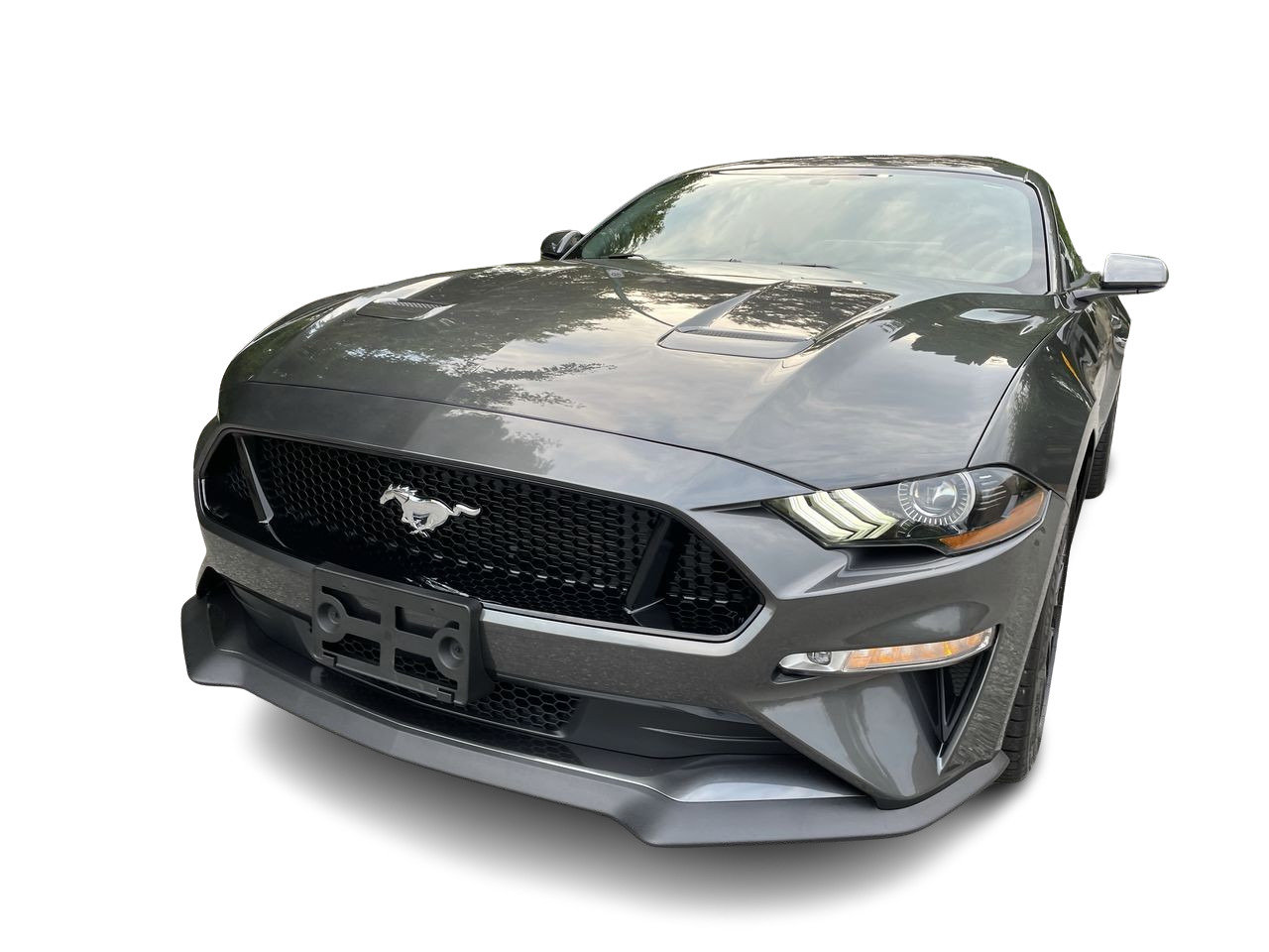 Used 2019 Grey Ford Coupe GT Premium image 4
