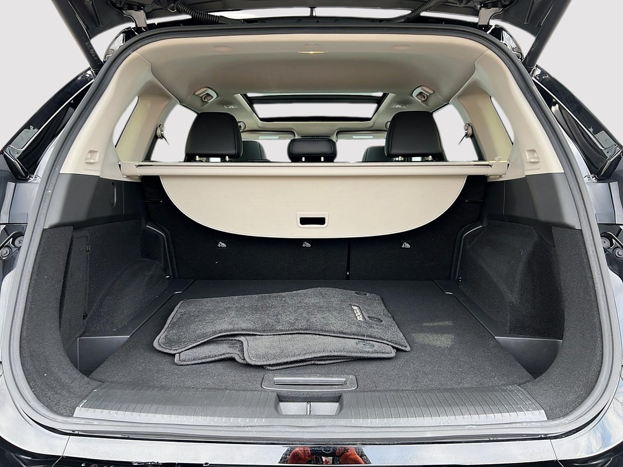 Nissan Rogue SV Privilege 2024-5