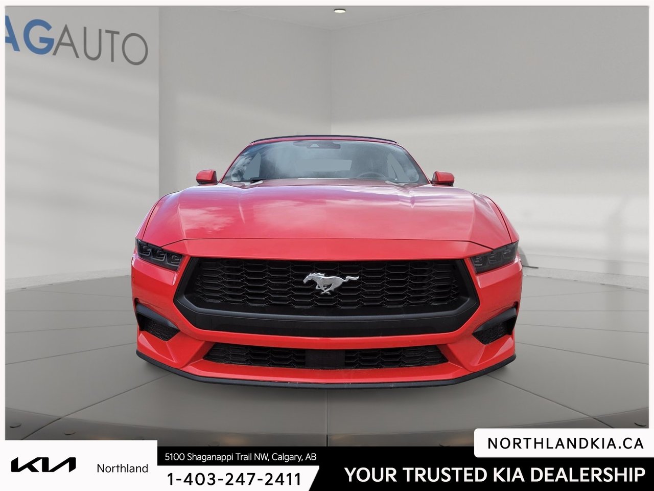 2025 Ford Mustang EcoBoost Premium-5