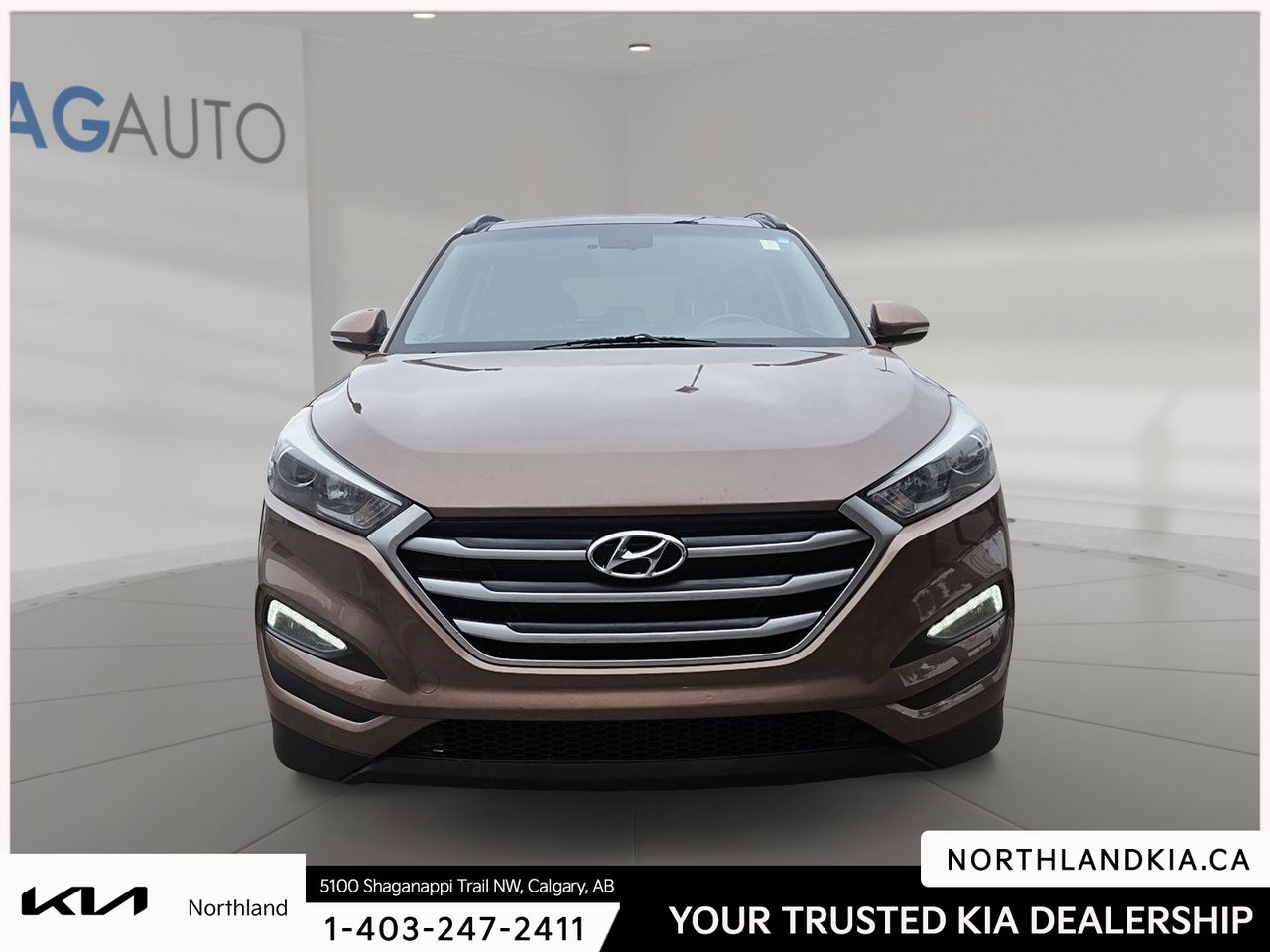 2017 Hyundai Tucson Luxury-5
