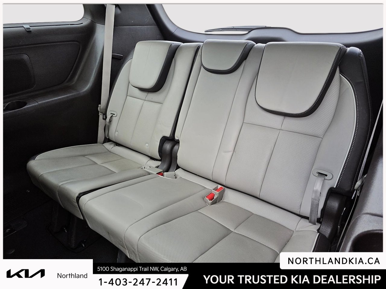 2017 Kia Sedona SXL-17