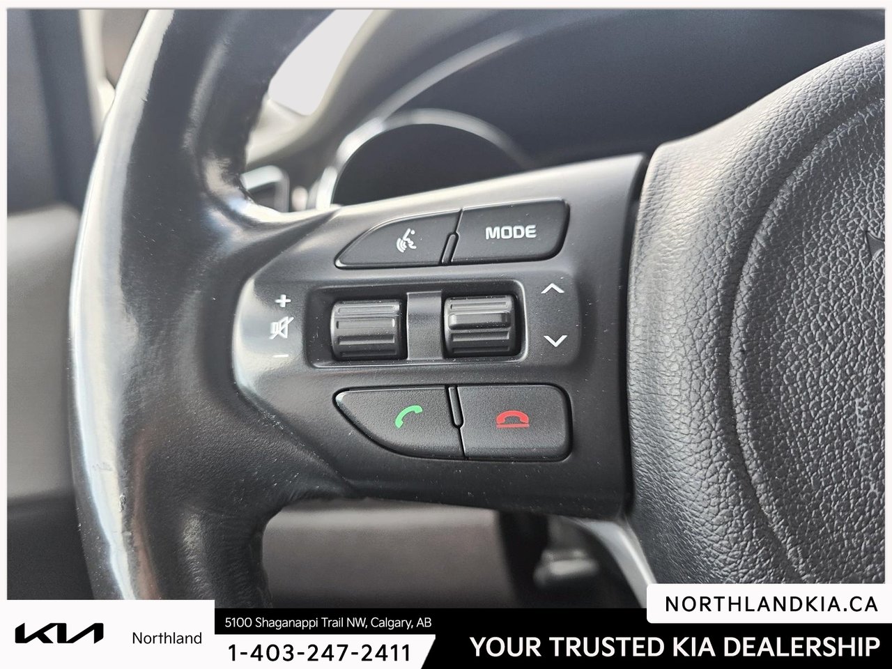 2018 Kia Sedona SXL-12