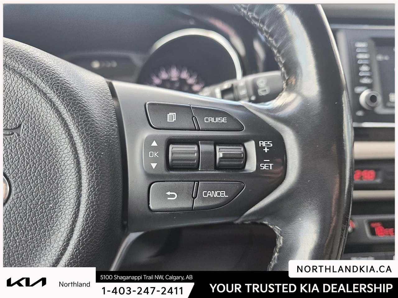 2018 Kia Sedona SXL-13