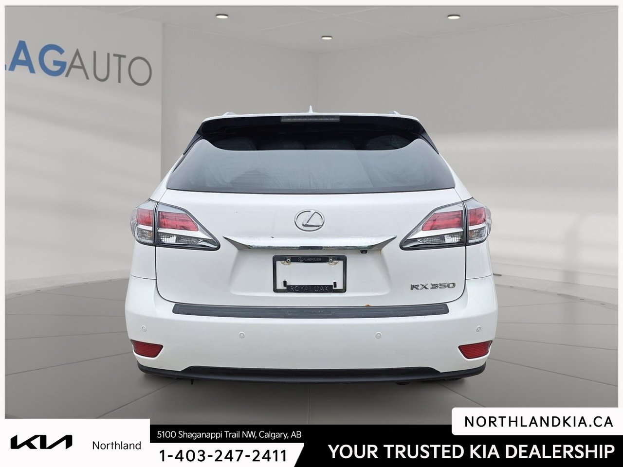 2015 Lexus RX 350-2