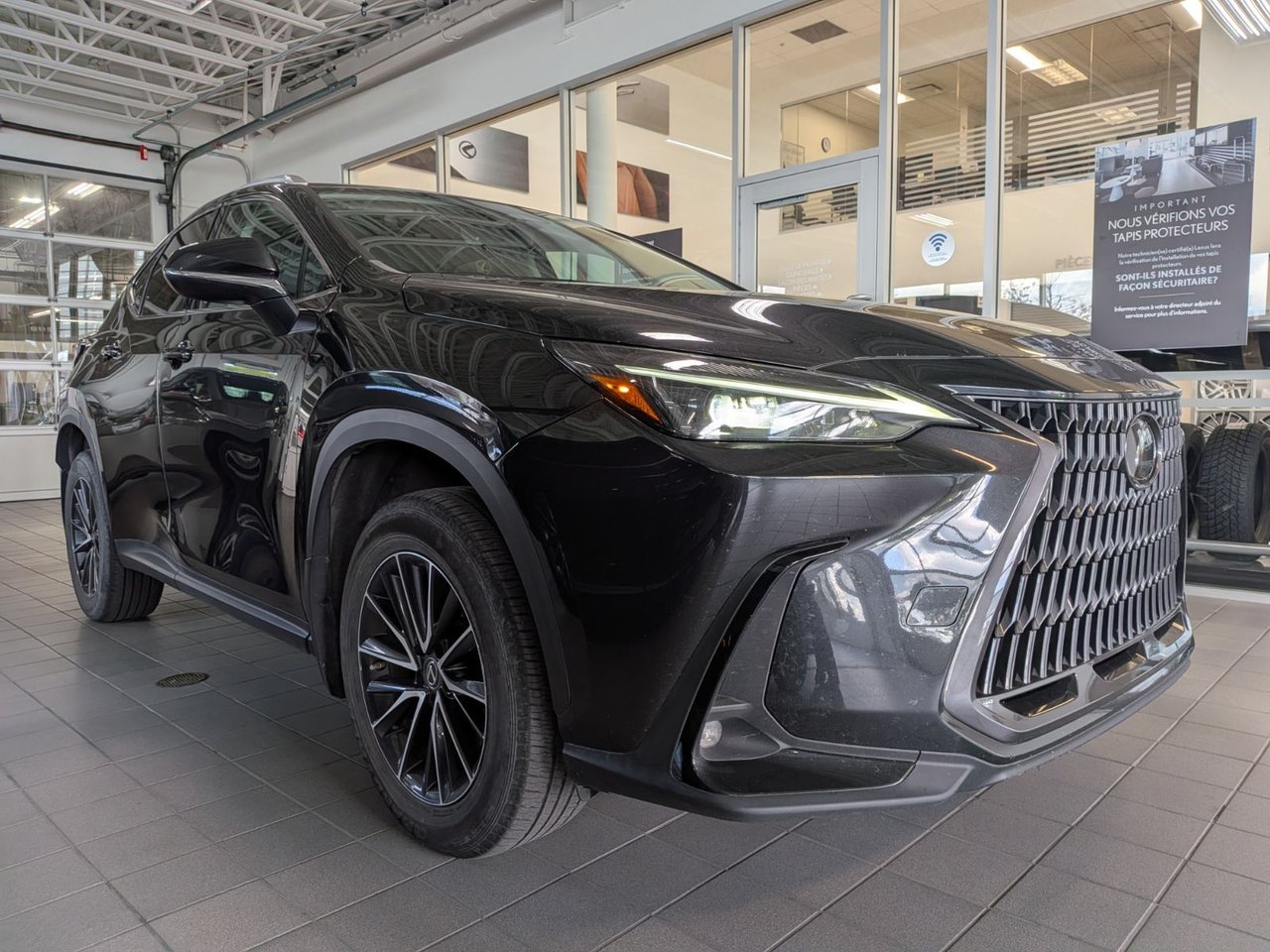2023 Lexus NX