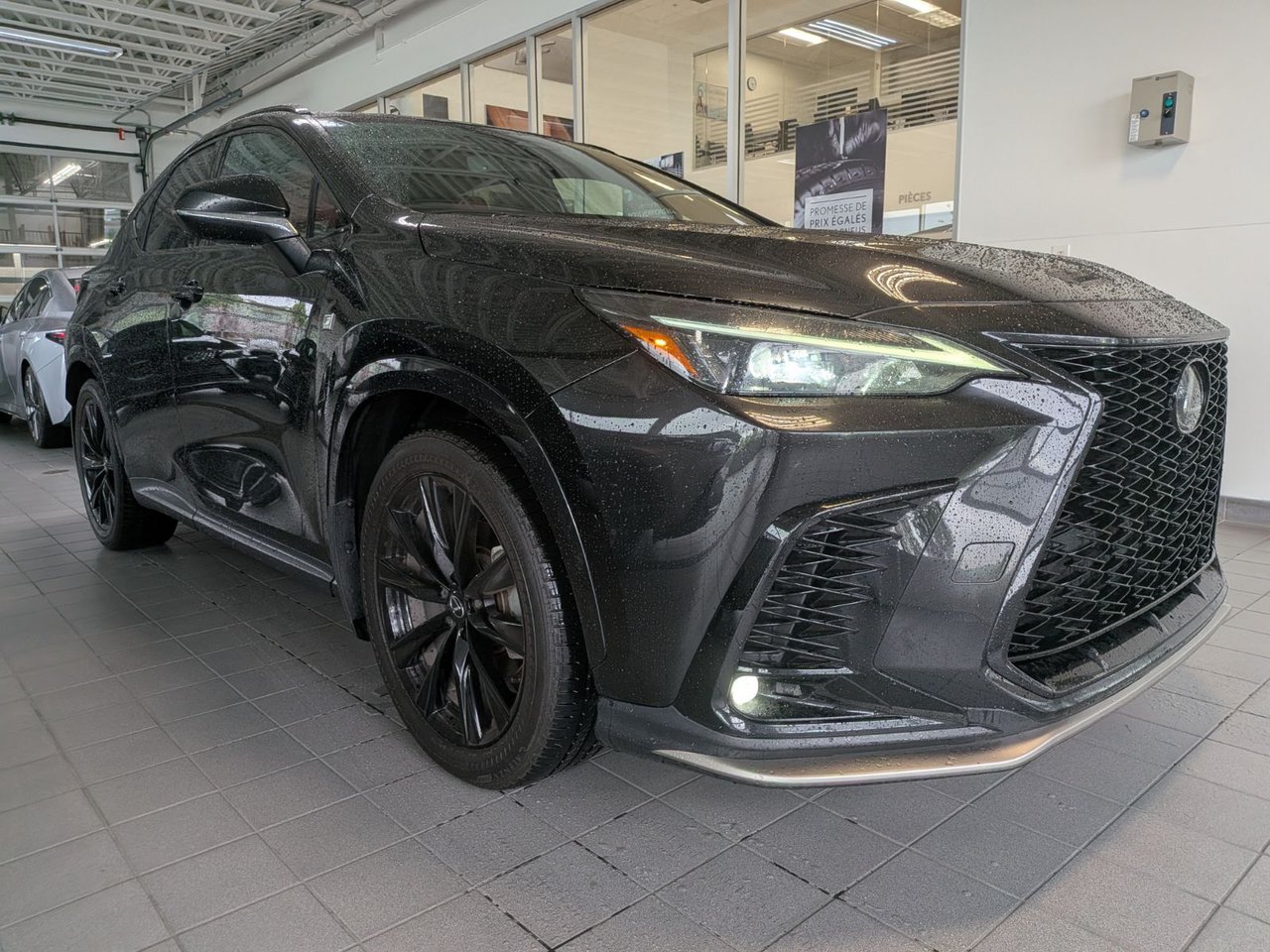 Lexus NX 2024