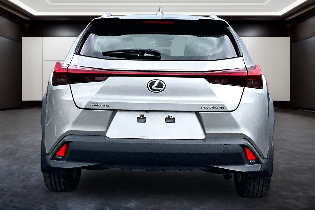 2020 Lexus UX