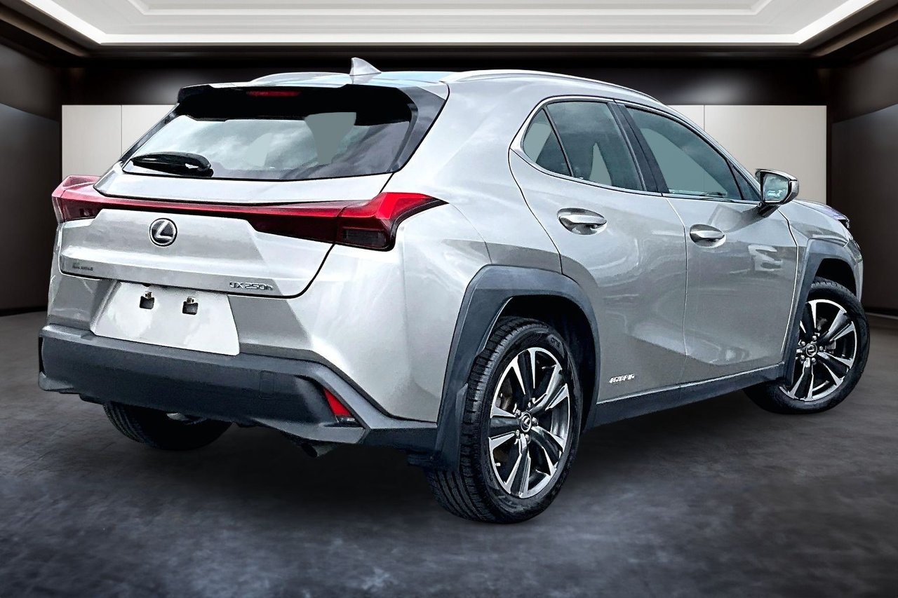 2020 Lexus UX