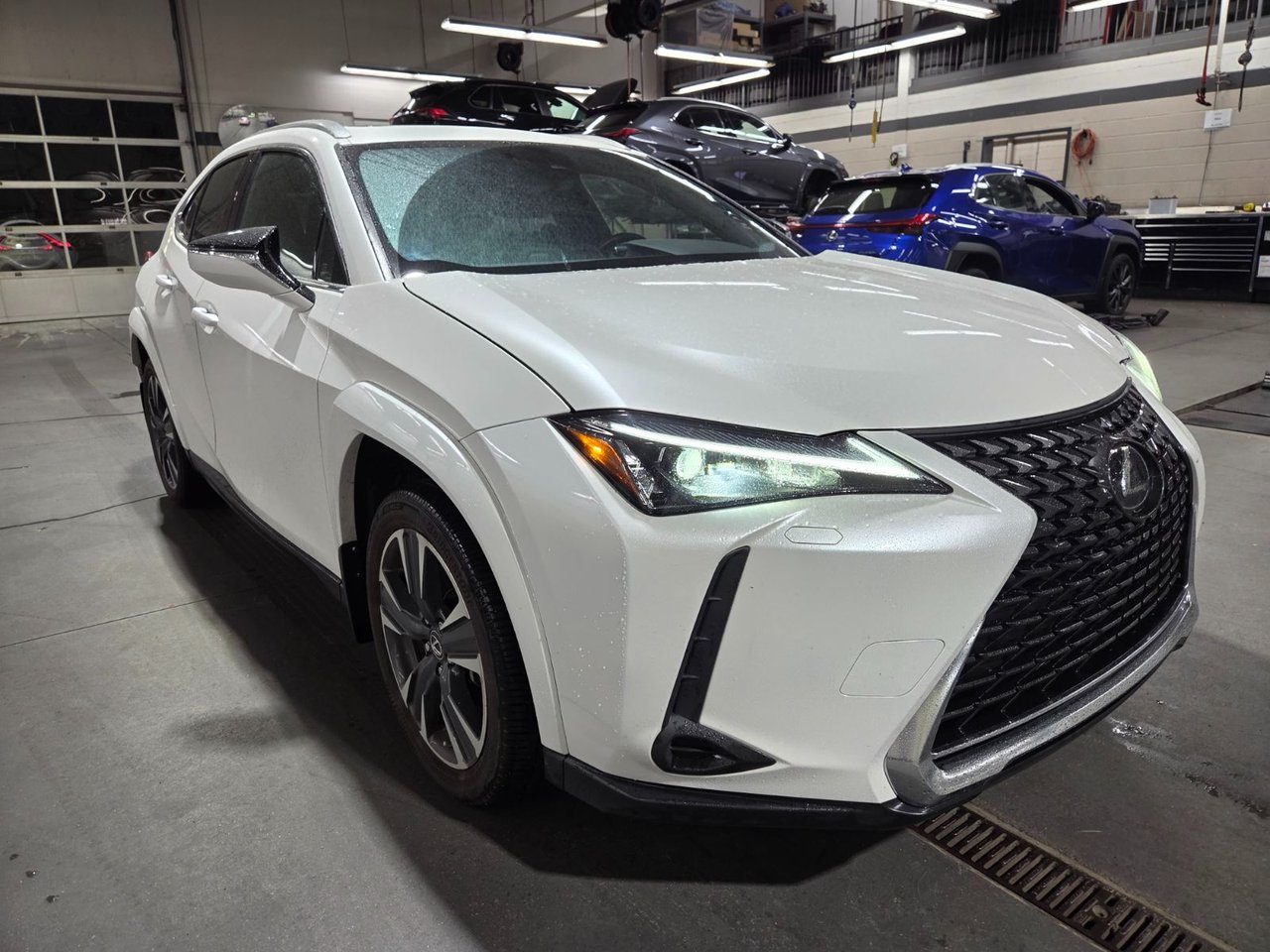 Lexus UX 2024