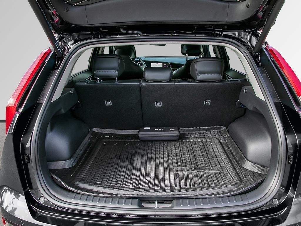 2025 Kia Niro EV Wave-10