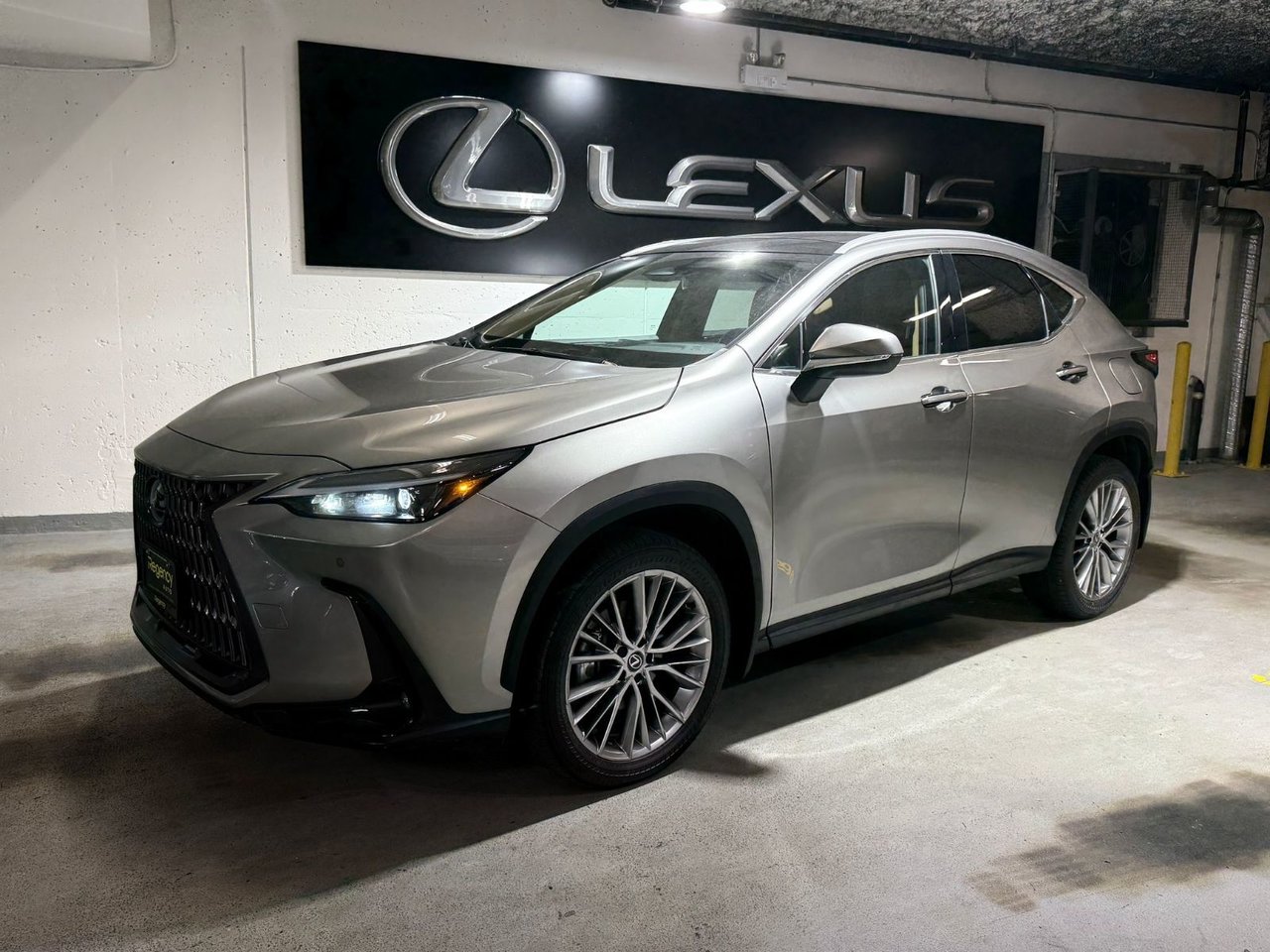 2024 Lexus NX Hybrid