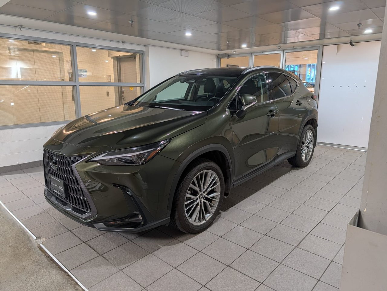 06X4 GREEN 2025 Lexus NX Hybrid SUV / Crossover
