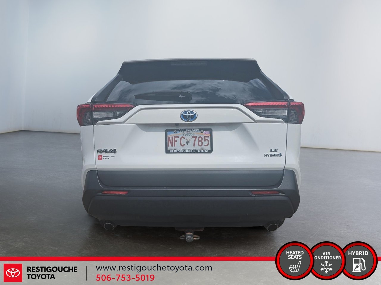 2019 Toyota RAV4 Hybrid LE-2