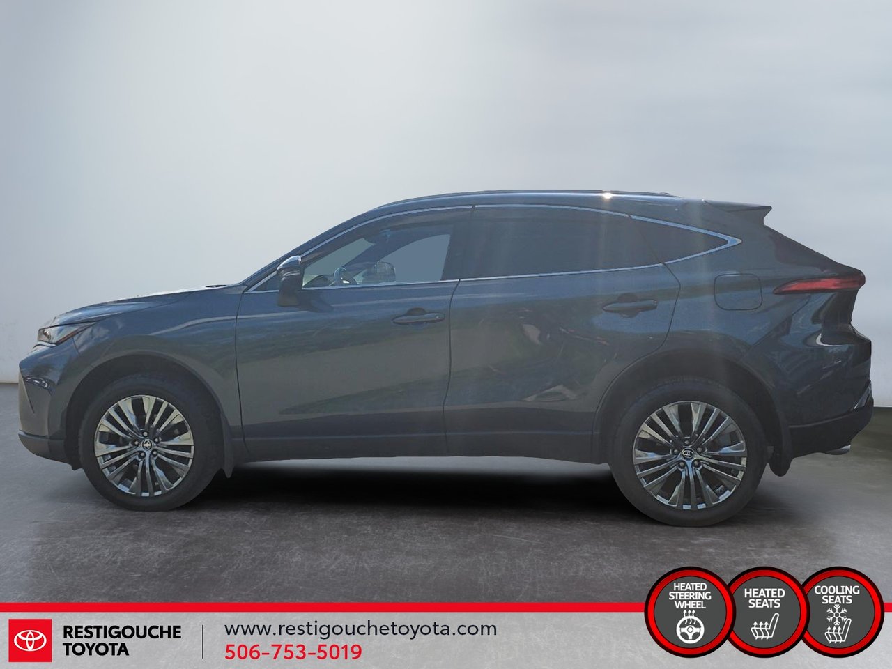 2023 Toyota Venza XLE-4