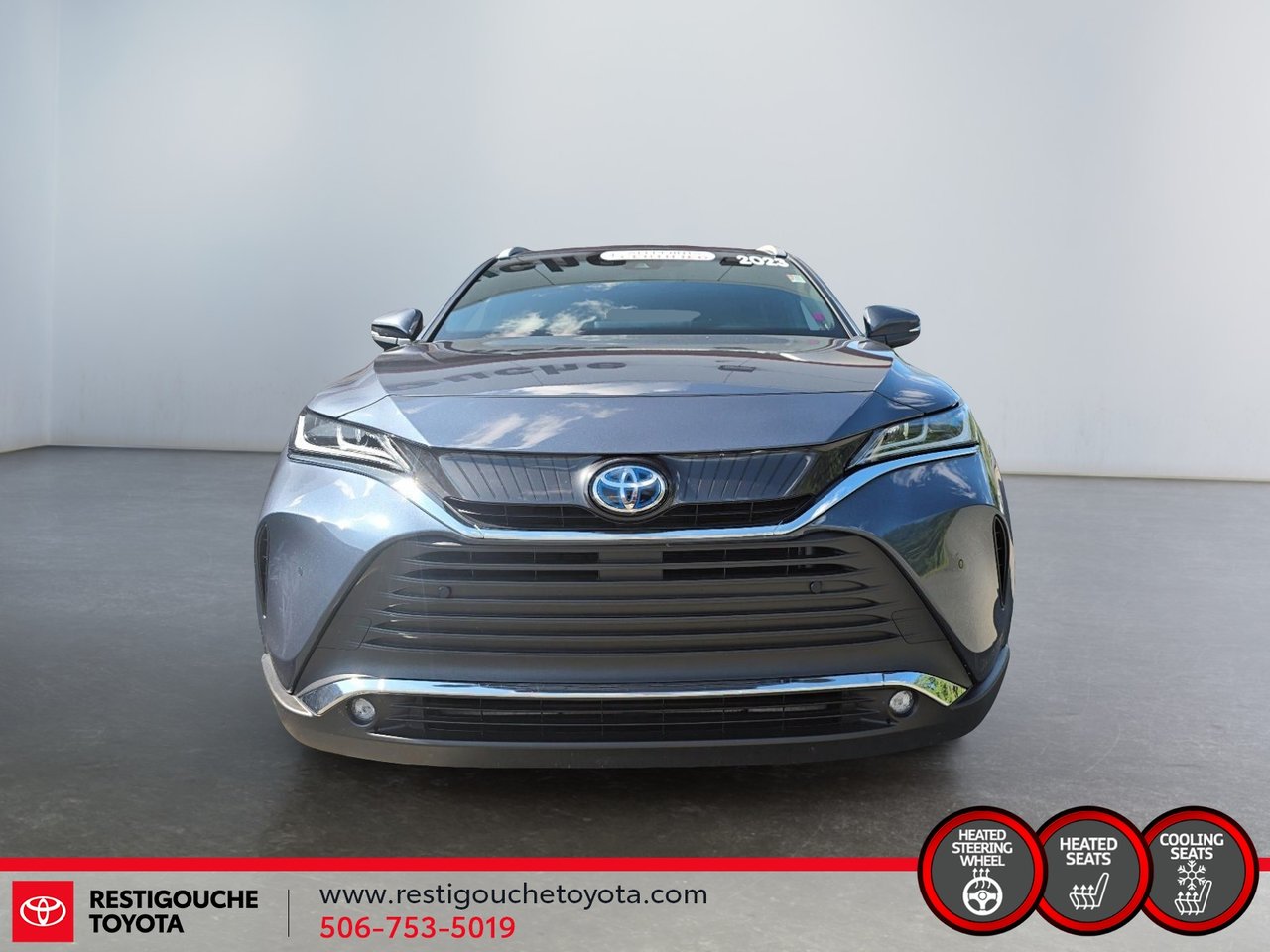 2023 Toyota Venza XLE-1
