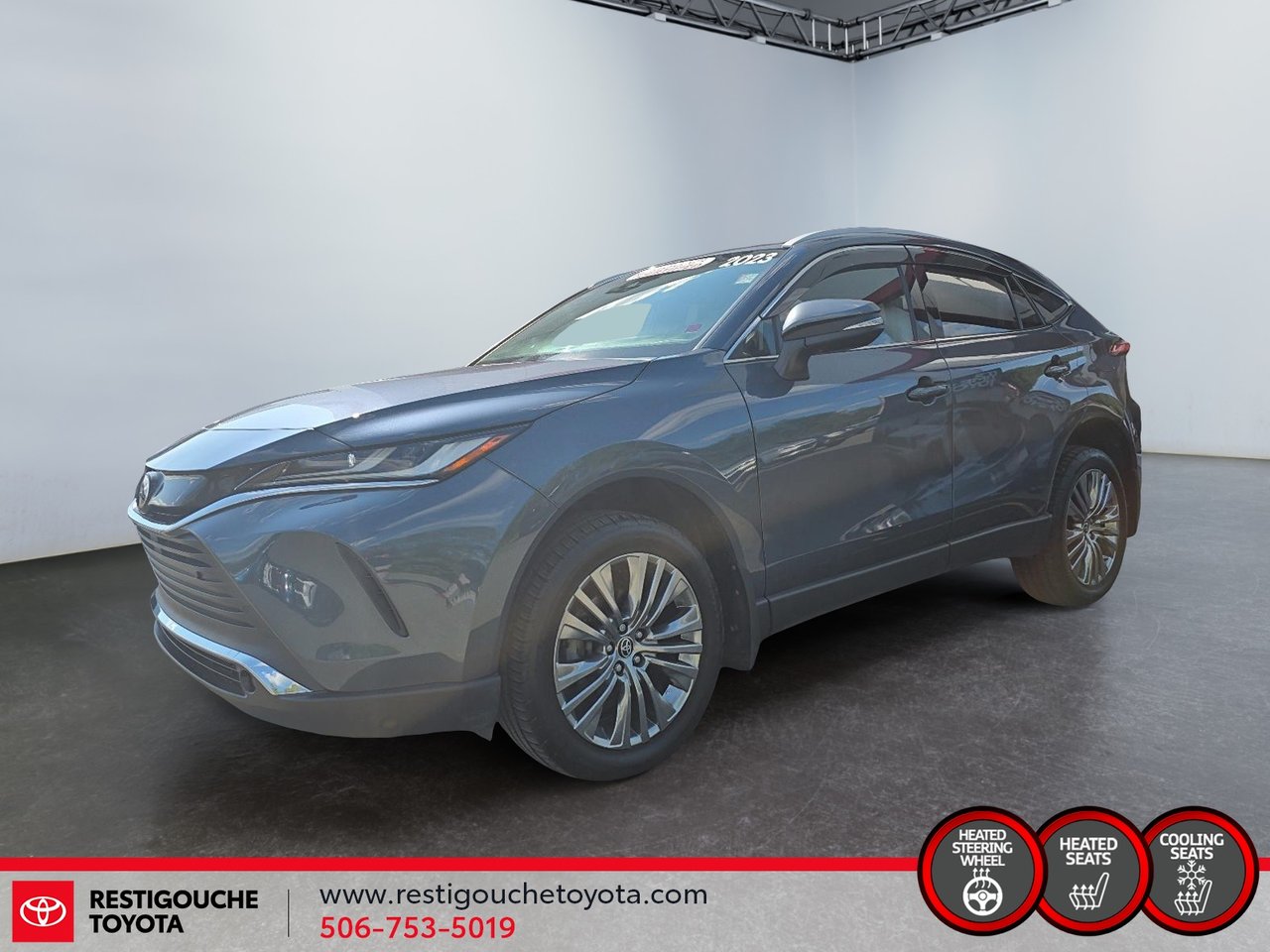 2023 Toyota Venza XLE-0