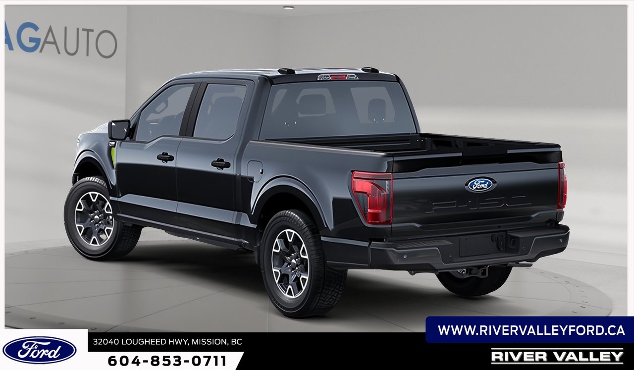 2025 Ford F-150 STX-2