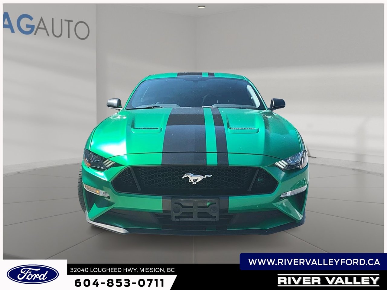 2019 Ford Mustang GT Premium-1